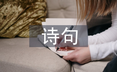元宵節(jié)的詩(shī)句小學(xué)