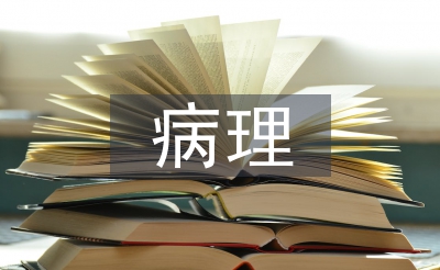 病理醫(yī)生發(fā)展工作計劃