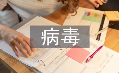 病毒防治技術(shù)
