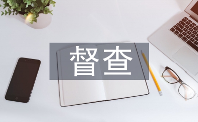 意識形態(tài)督查報告