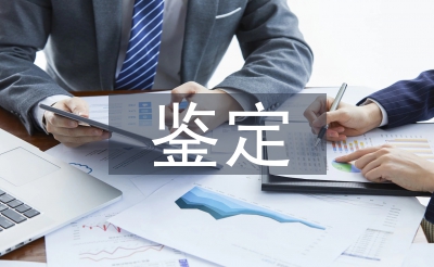 個人鑒定報告