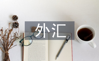 外匯市場(chǎng)風(fēng)險(xiǎn)的案例及分析