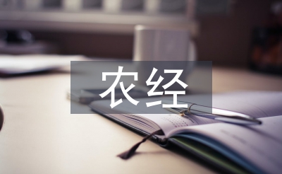 農(nóng)經(jīng)工作要點