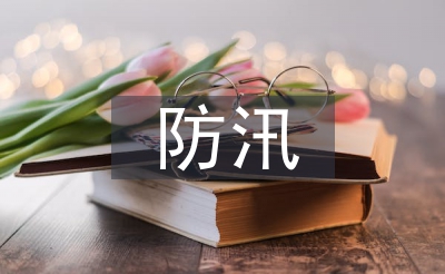 抗臺(tái)防汛工作總結(jié)