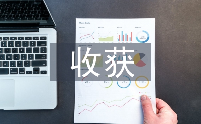 勞動教育的收獲和體會