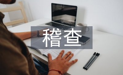 稽查工作總結(jié)