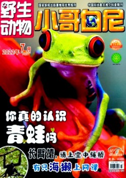 小哥白尼·野生動(dòng)物畫報(bào)雜志